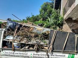 Best Shed Removal  in Vincent, CA